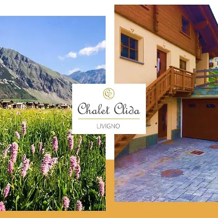 Clida ليفينو